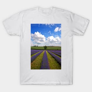 Lavender Field Purple Flowers Cotswolds England T-Shirt